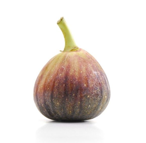 fig BLOG